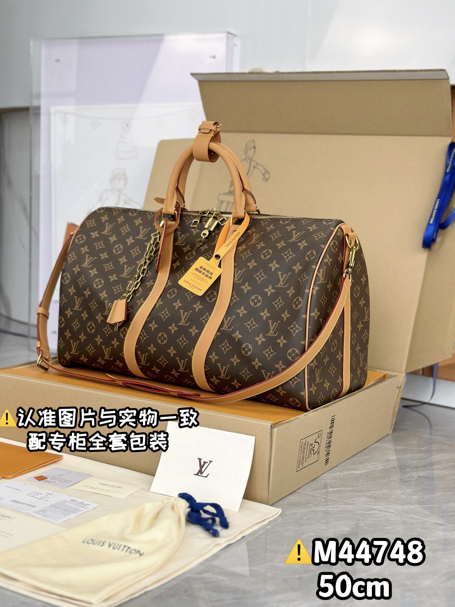 LV Travel Bags